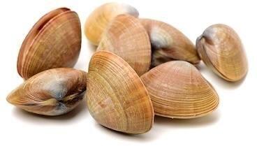 0.5 Lb Clams