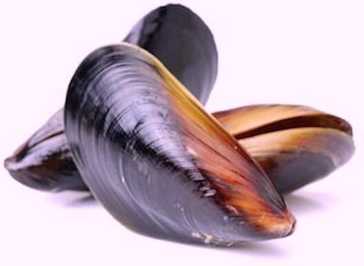 0.5 Lb Blue Mussel