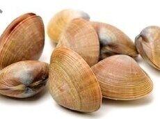 3/4 Lb Clams