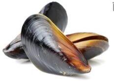 3/4 Lb Blue Mussel
