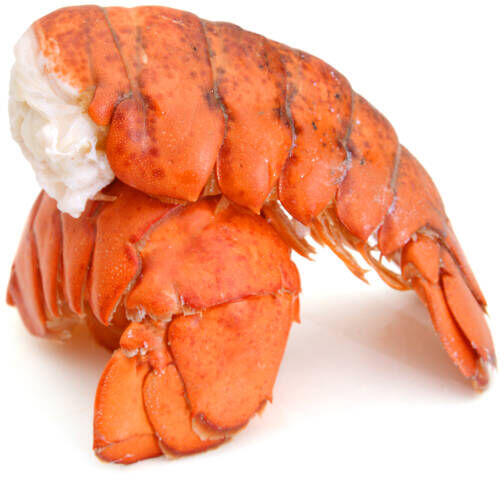 Lobster Tail