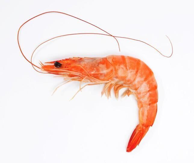 3/4 Lb Shrimp(head On)